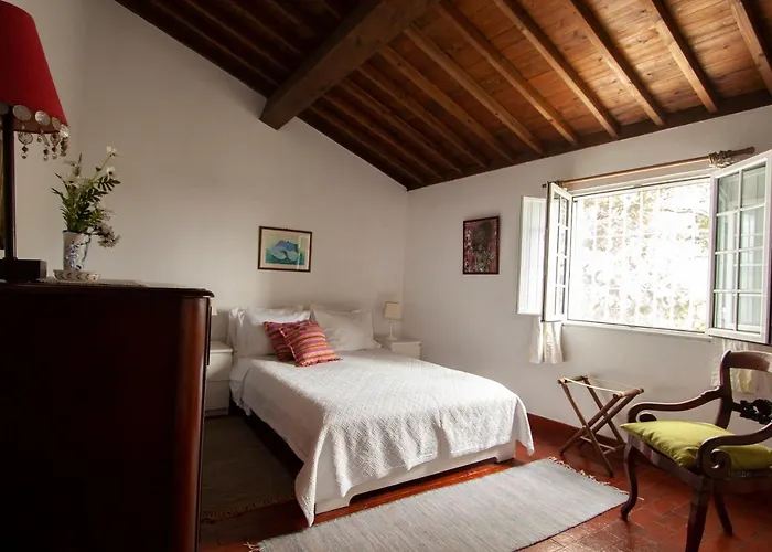 Casa de Férias Casa Senhora Necessidades